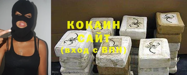 стаф Абинск