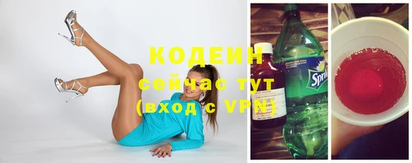 не бодяженный Каменногорск
