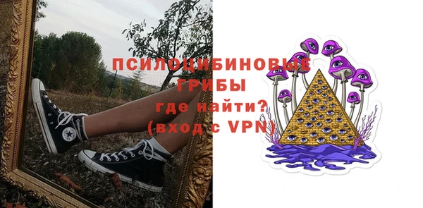 стаф Абинск