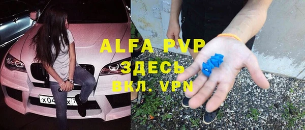 стаф Абинск
