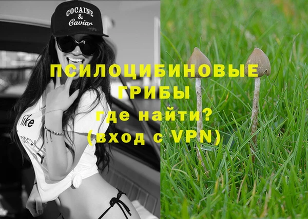 стаф Абинск