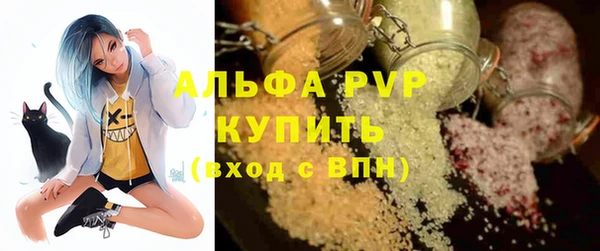 стаф Абинск