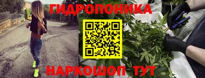 сатива Канаш
