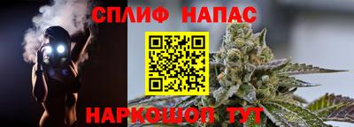 трава Камышлов
