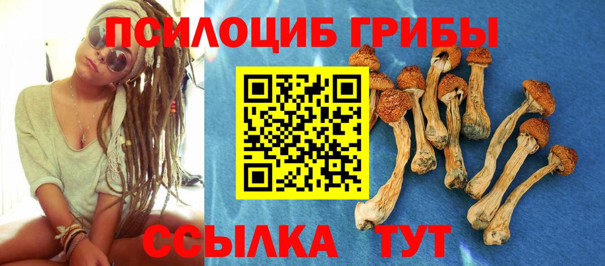 Новотроицк  Галлюциногенные грибы Magic Shrooms  сколько стоит  Вход с VPN 