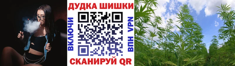 Бошки Шишки планчик  как найти наркотики  Новотроицк 